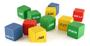 Software Development